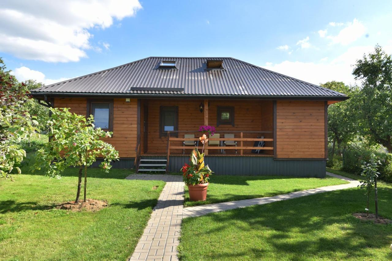 Villa Vasarnamis Zarasuose Zarasai Exterior foto