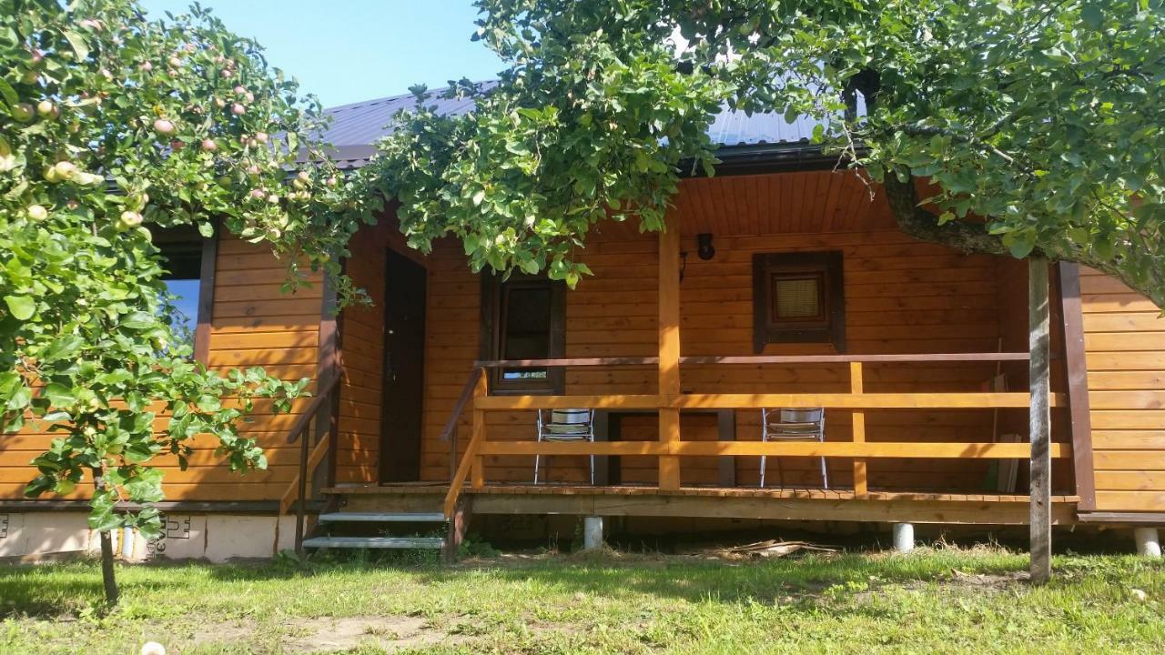 Villa Vasarnamis Zarasuose Zarasai Exterior foto